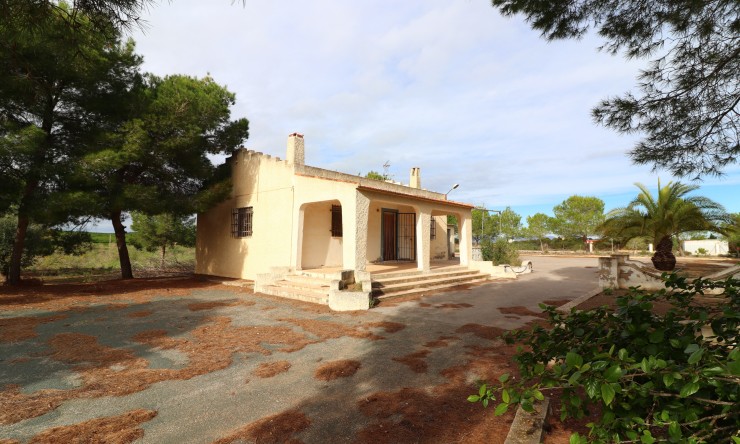 Country Property - Re-Sale - Algorfa - VRE 5438