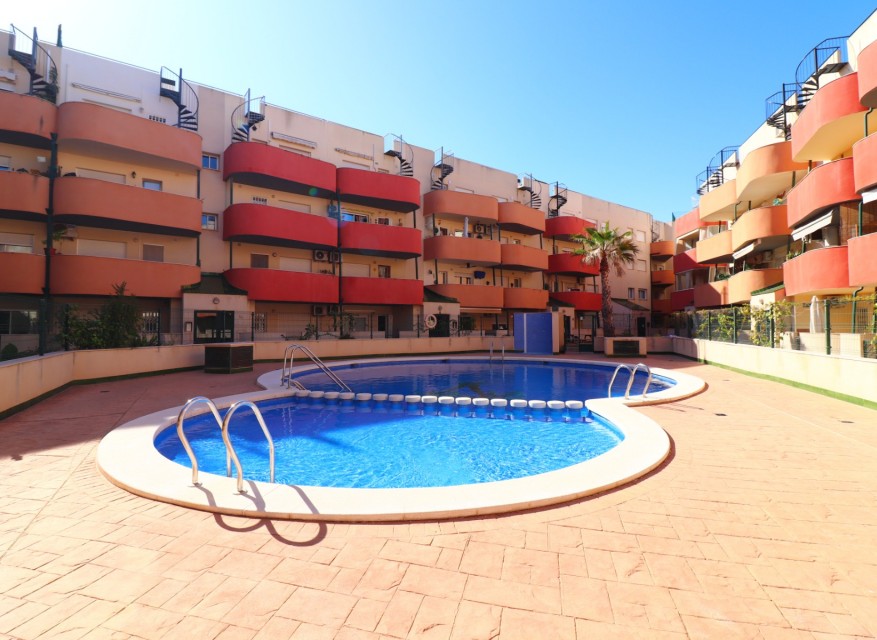 Alquiler - Apartamento - Almoradi - Almoradi - Pueblo