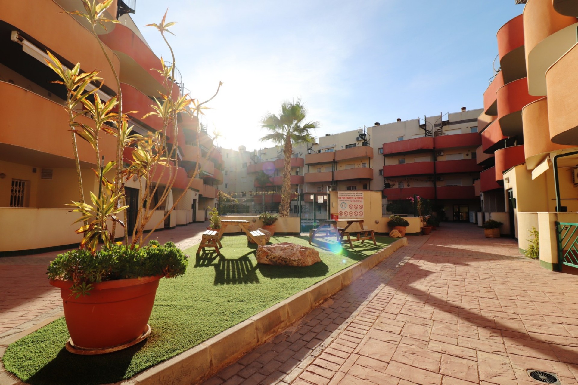 Alquiler - Apartamento - Almoradi - Almoradi - Pueblo