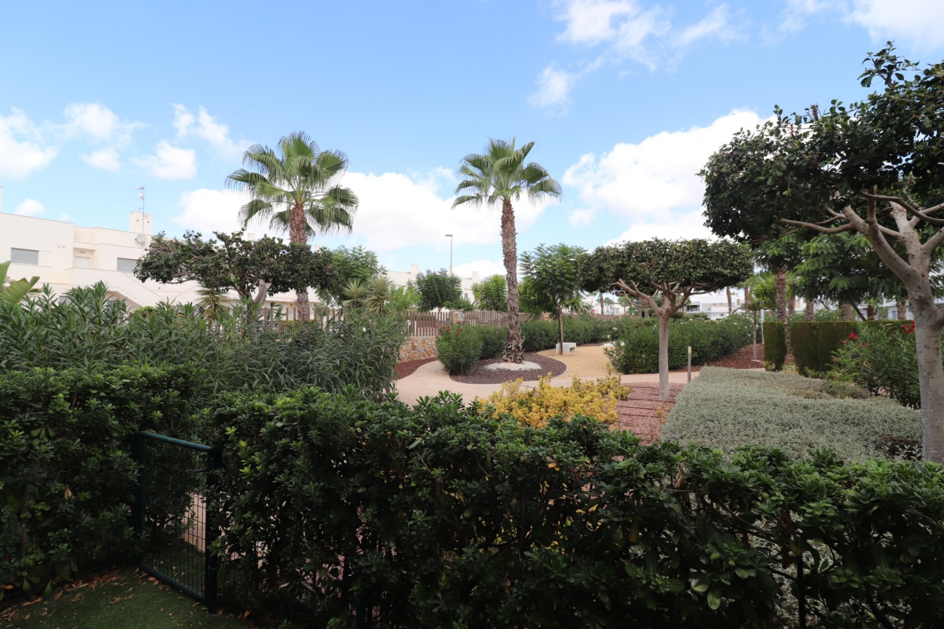 Alquiler - Apartamento - Los Montesinos - Entre Naranjos / Vistabella Golf