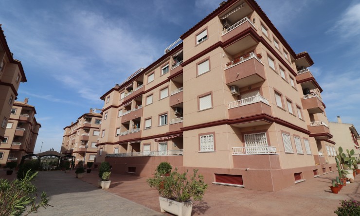 Apartamento - Alquiler - Algorfa - Algorfa - Pueblo