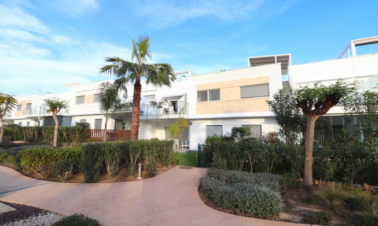 Apartamento - Reventa - Los Montesinos - Entre Naranjos / Vistabella Golf