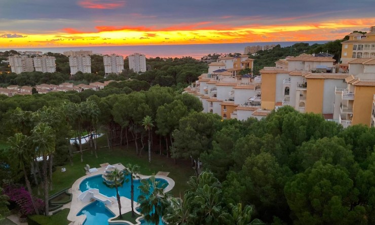 Apartamento - Reventa - Orihuela Costa - Dehesa de Campoamor