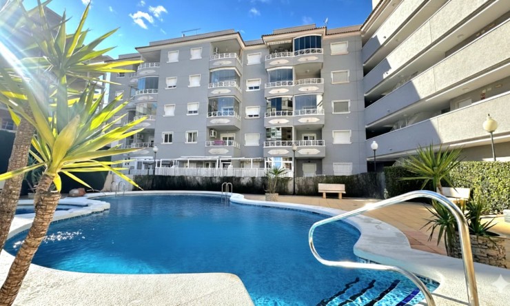 Appartement - La Revente - Guardamar del Segura - VRE 5831