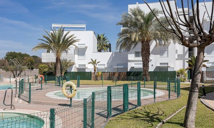 Appartement - Nieuw - Vera - NBH-40565