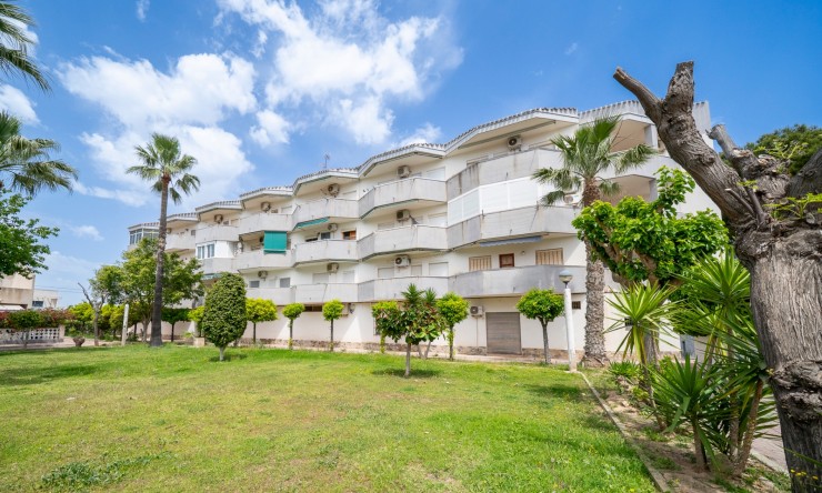 Appartement - Wederverkoop - Orihuela Costa - CBB-42759
