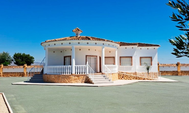 Casa de Campo - Reventa - Catral - Catral - Campo