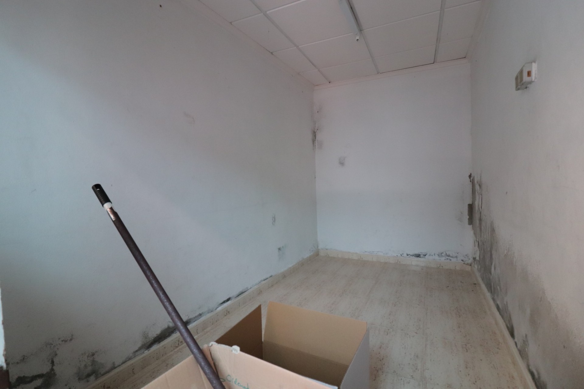Comercial - Comercial (Alquiler) - Benijofar - Benijofar - Pueblo