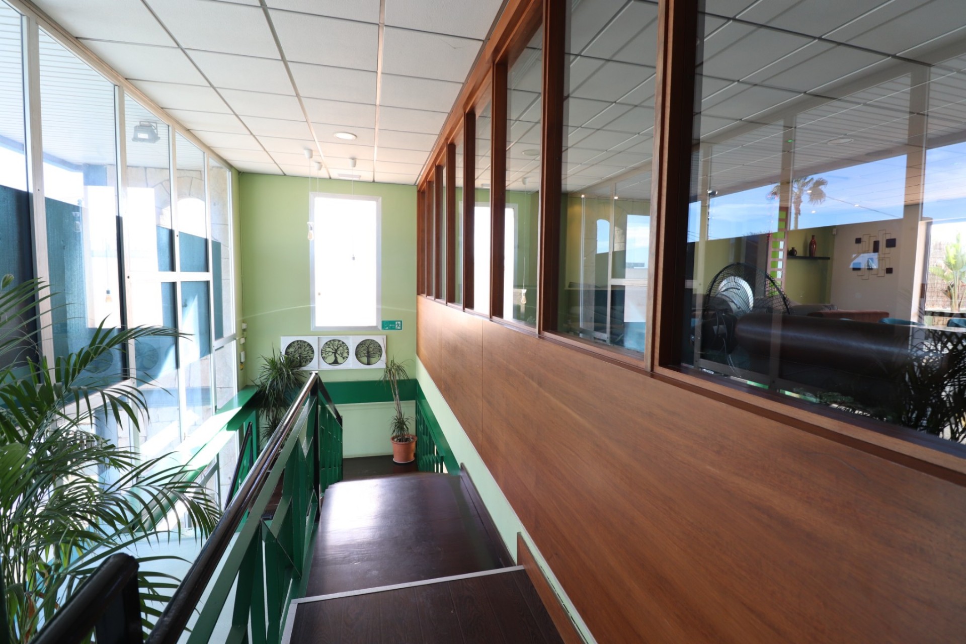 Comercial - Comercial - Ciudad Quesada - Ciudad Quesada - Pueblo