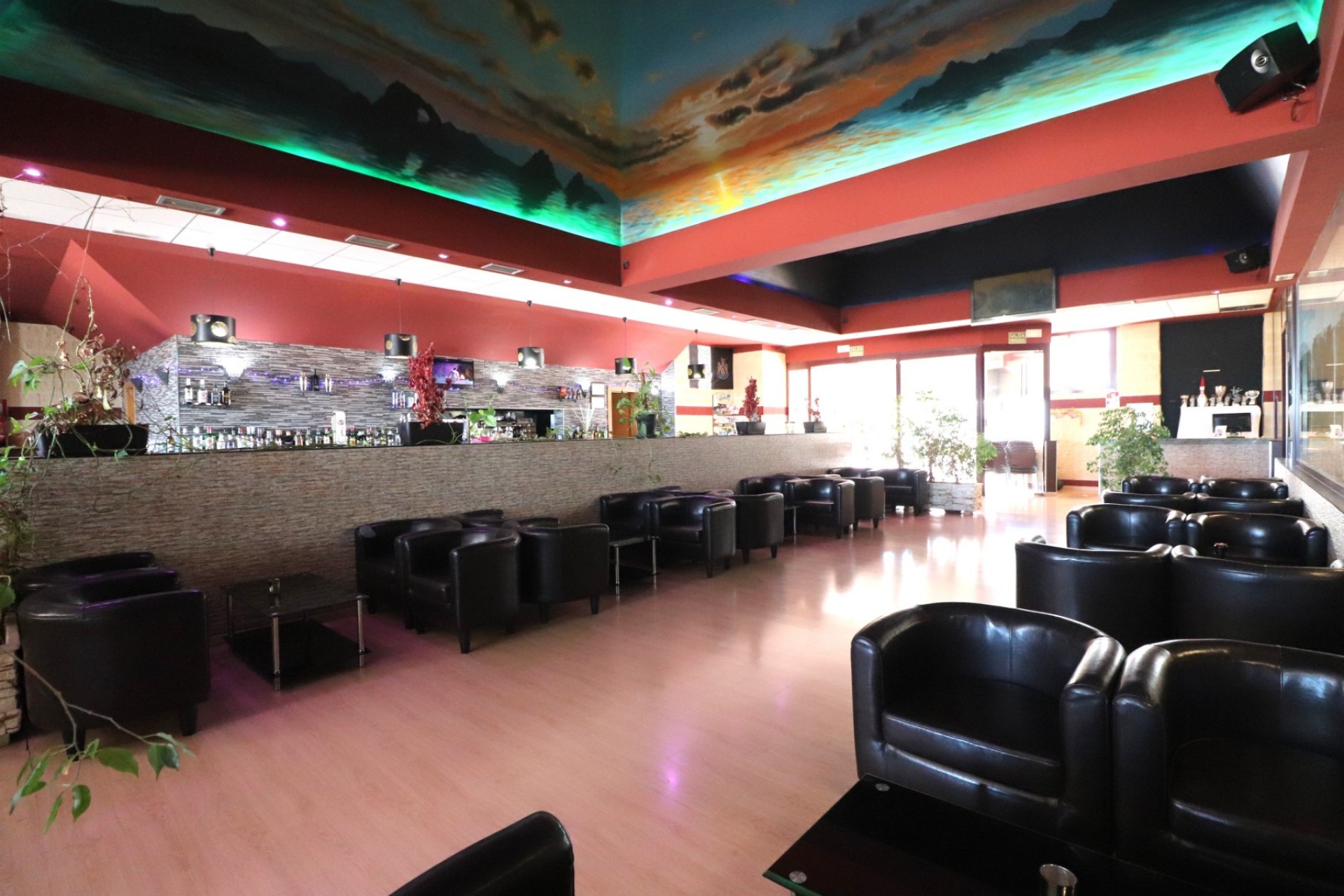 Comercial - Comercial (Traspaso) - Ciudad Quesada - Ciudad Quesada - Pueblo