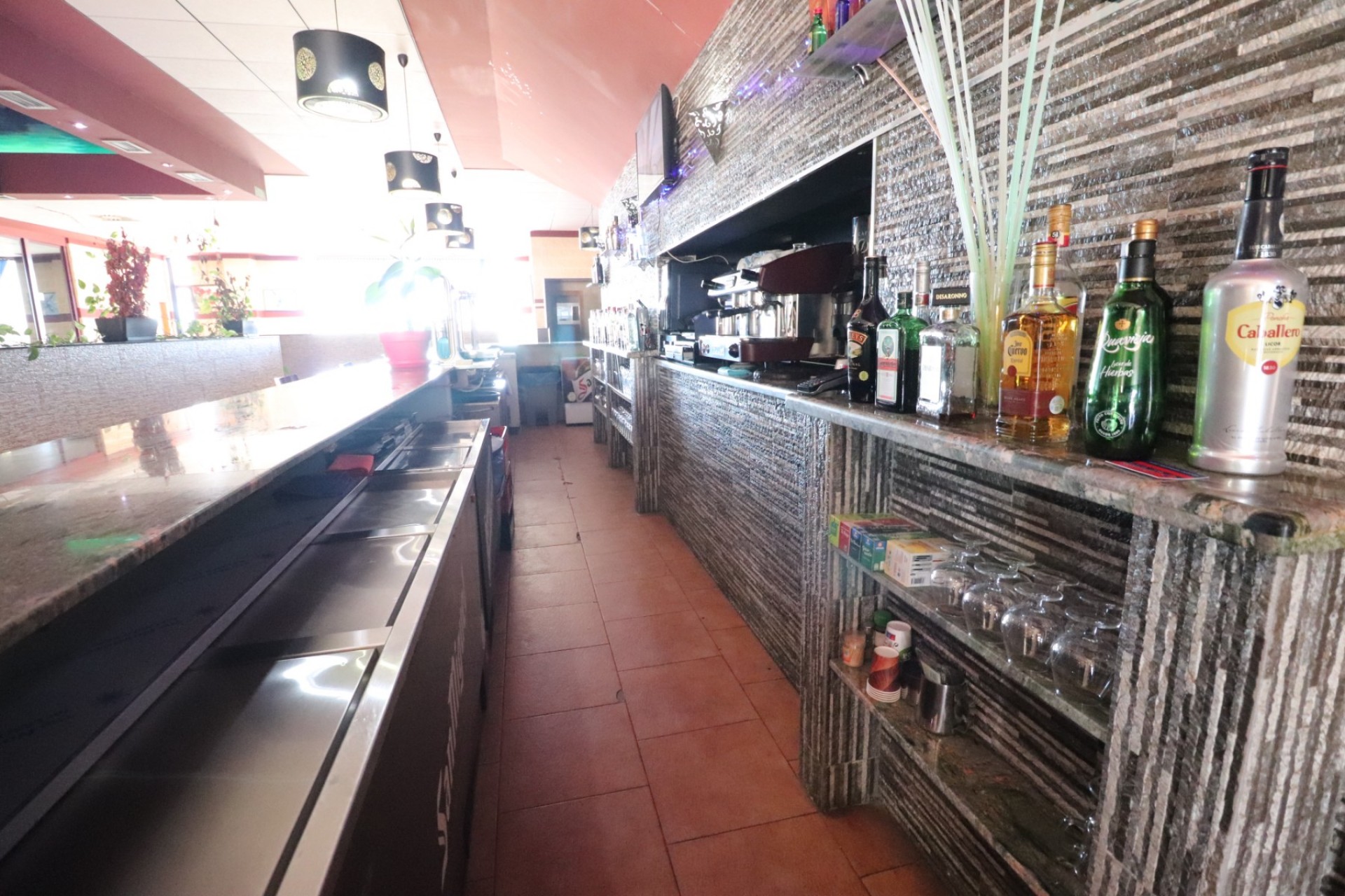 Commercial - Commercial (Leasehold) - Ciudad Quesada - Ciudad Quesada - Town