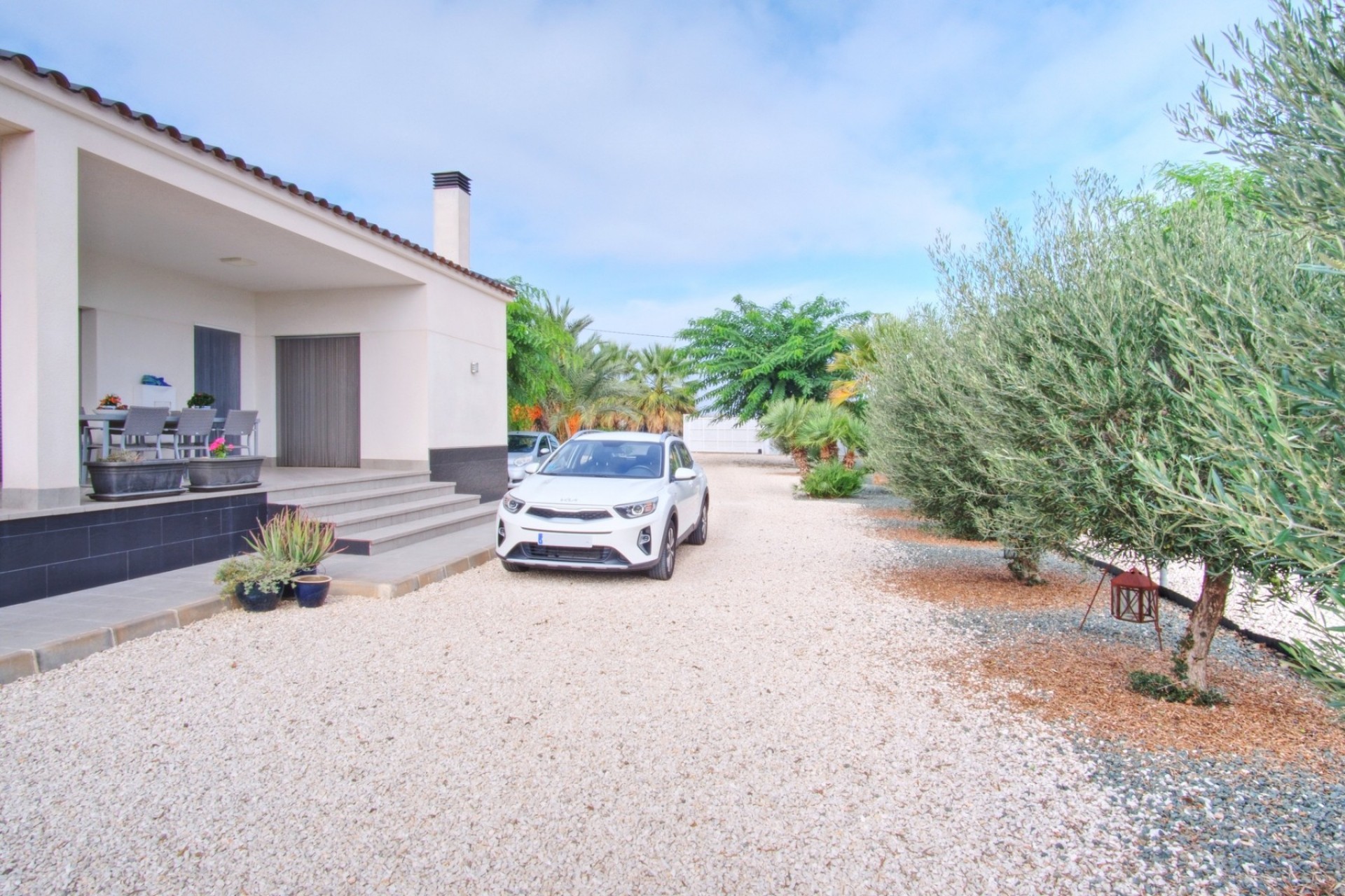 Commercial - Commercial (Pleine Propriété) - Dolores - Dolores - Domaine