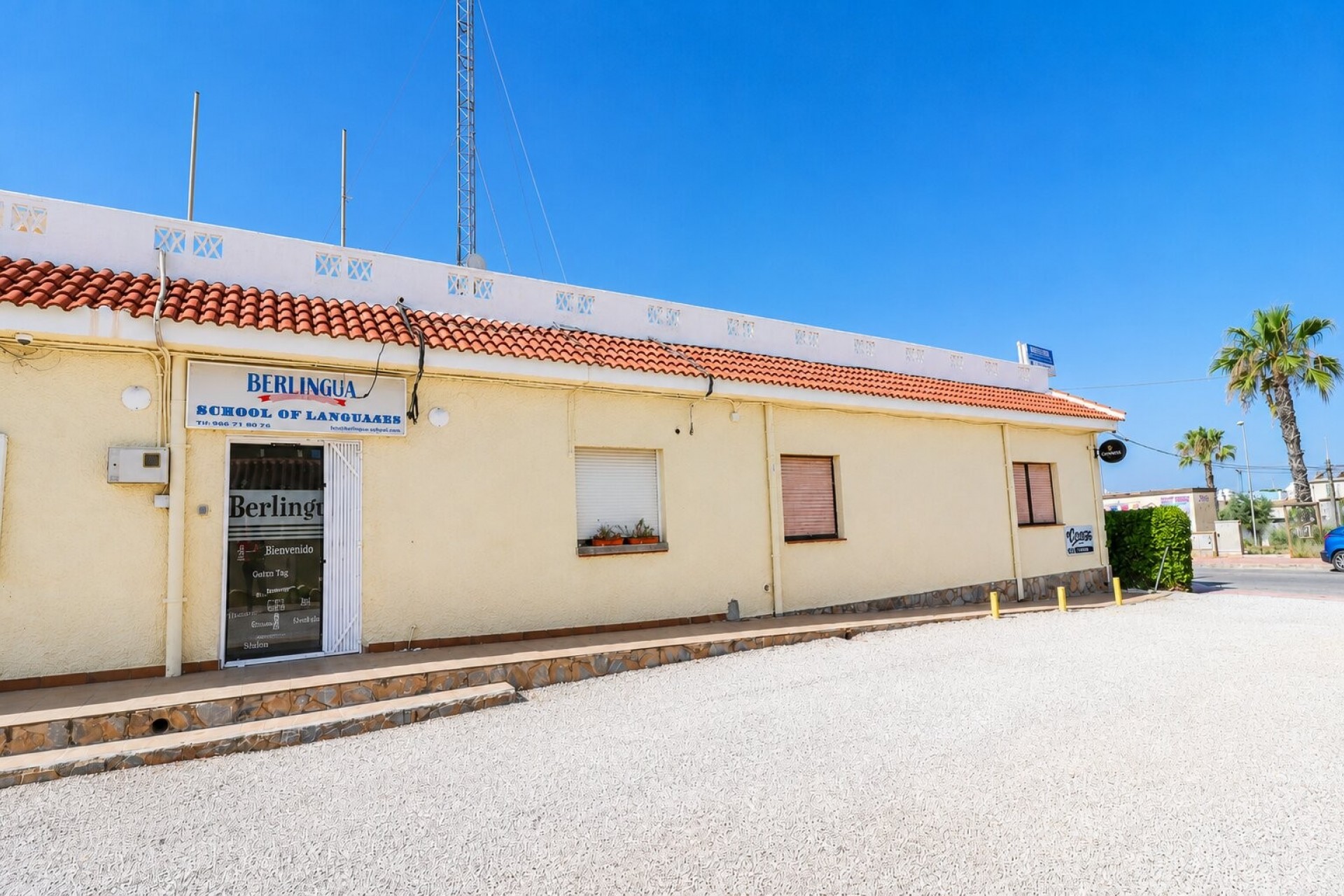Commercieel - Commercieel (Verhuur) - Ciudad Quesada - Doña Pepa
