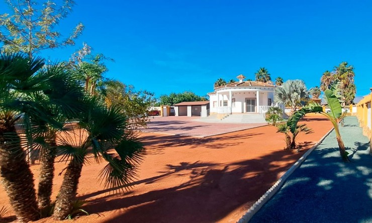 Country Property - New - Catral - Catral - Country