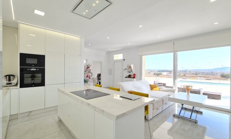 Detached Villa - New - Pinoso - Pinoso - Country