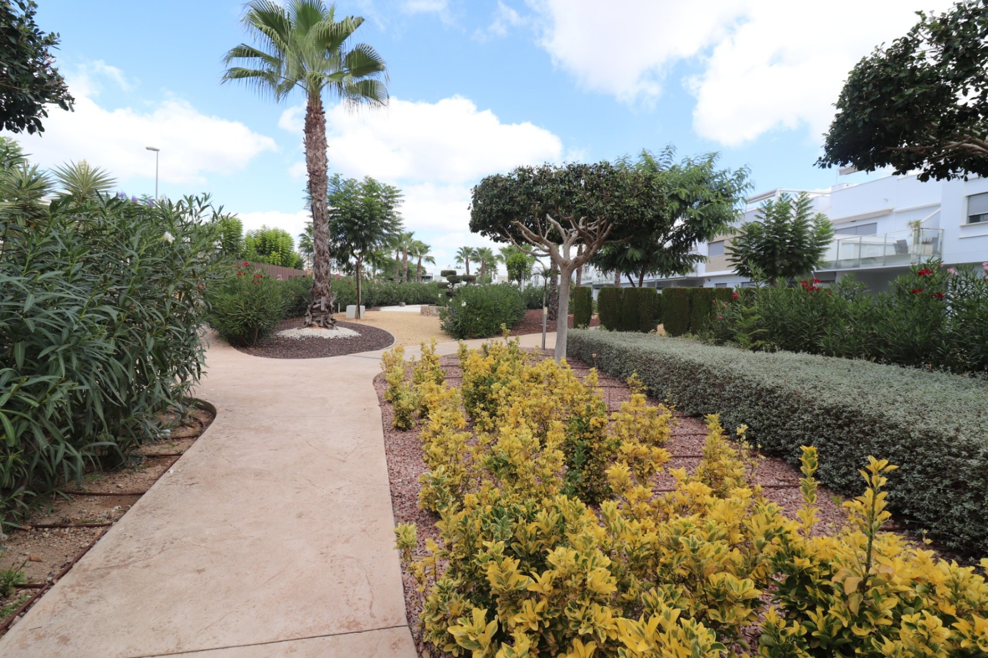 Huur - Appartement - Los Montesinos - Entre Naranjos / Vistabella Golf