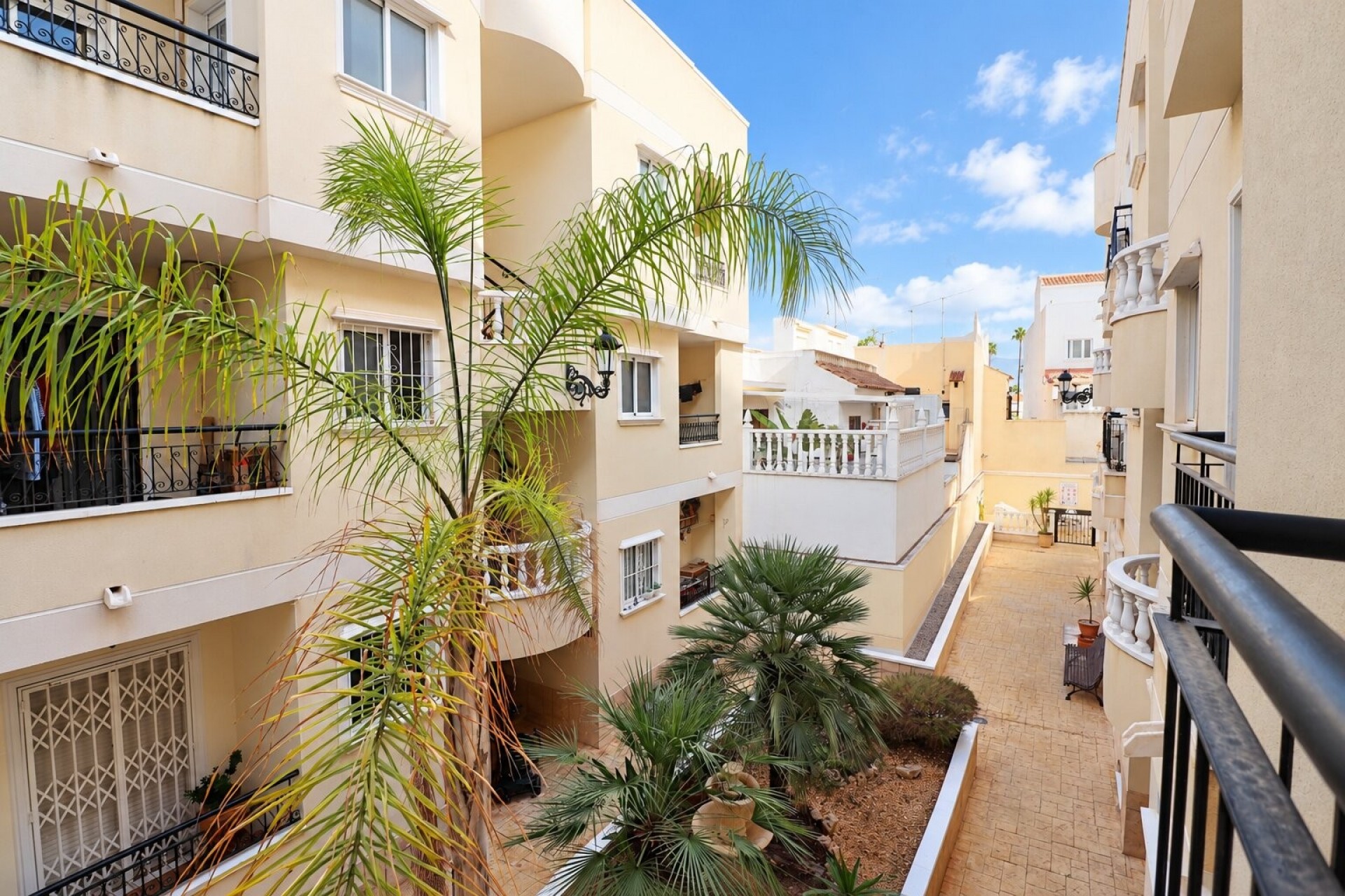 Huur - Duplex - Jacarilla - Jacarilla - Stad