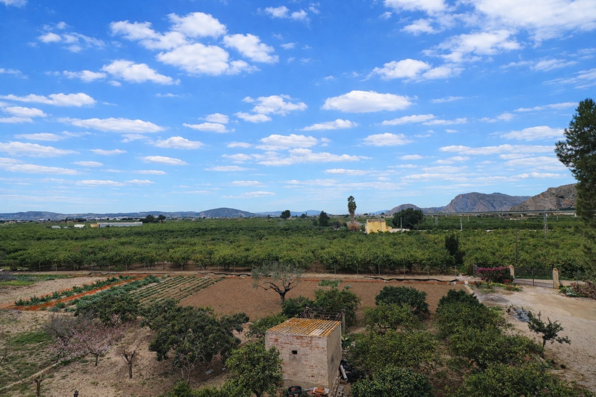Huur - Herenhuis - Callosa de Segura - Callosa de Segura - Stad