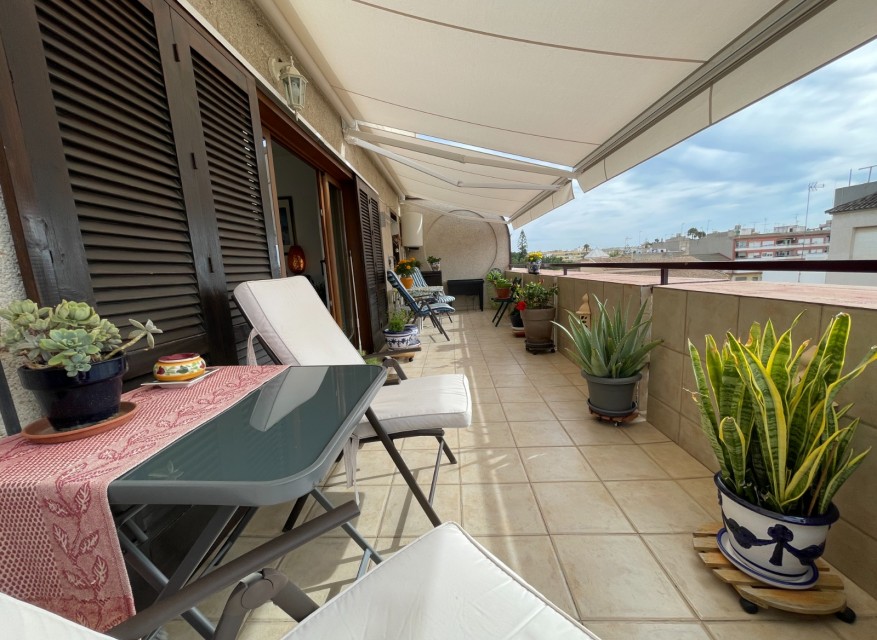 La Revente - Appartement - Almoradi - Almoradi - Ville