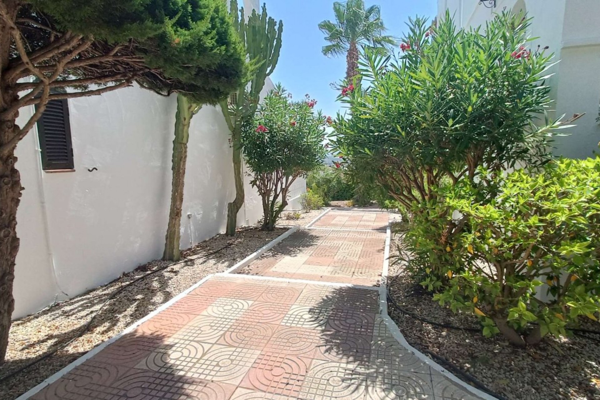 La Revente - Appartement - Ciudad Quesada - Altos de Quesada
