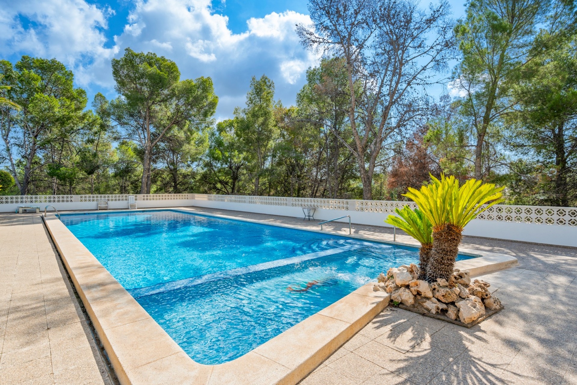 La Revente - Appartement - La Nucia - La Nucia - Ville