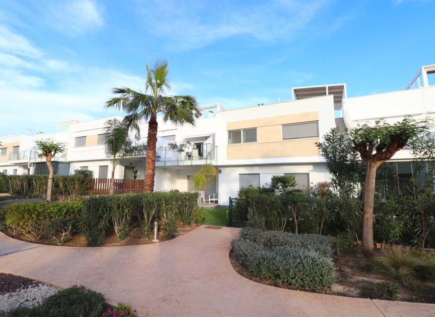 La Revente - Appartement - Los Montesinos - Entre Naranjos / Vistabella Golf