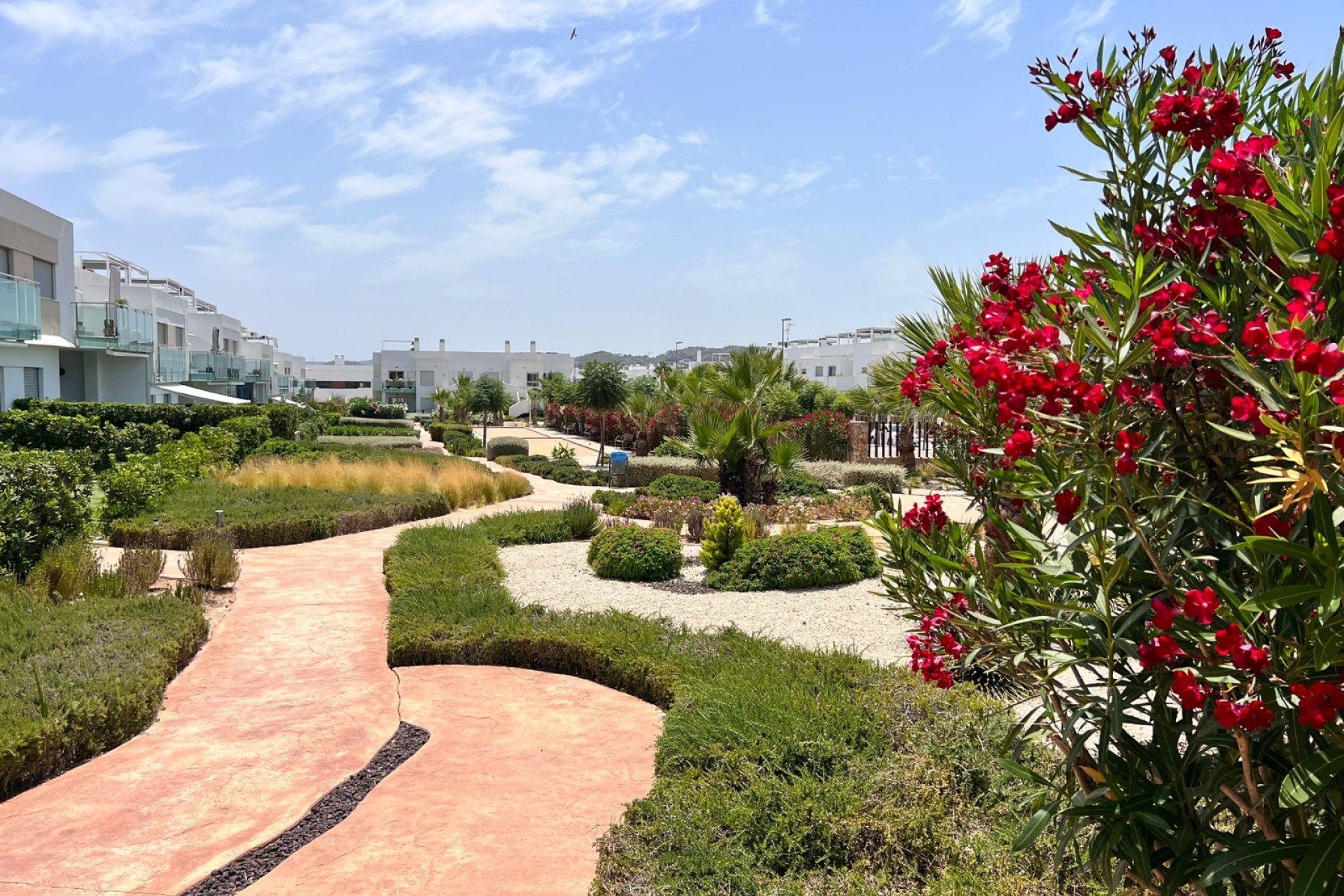 La Revente - Appartement - Los Montesinos - Entre Naranjos / Vistabella Golf