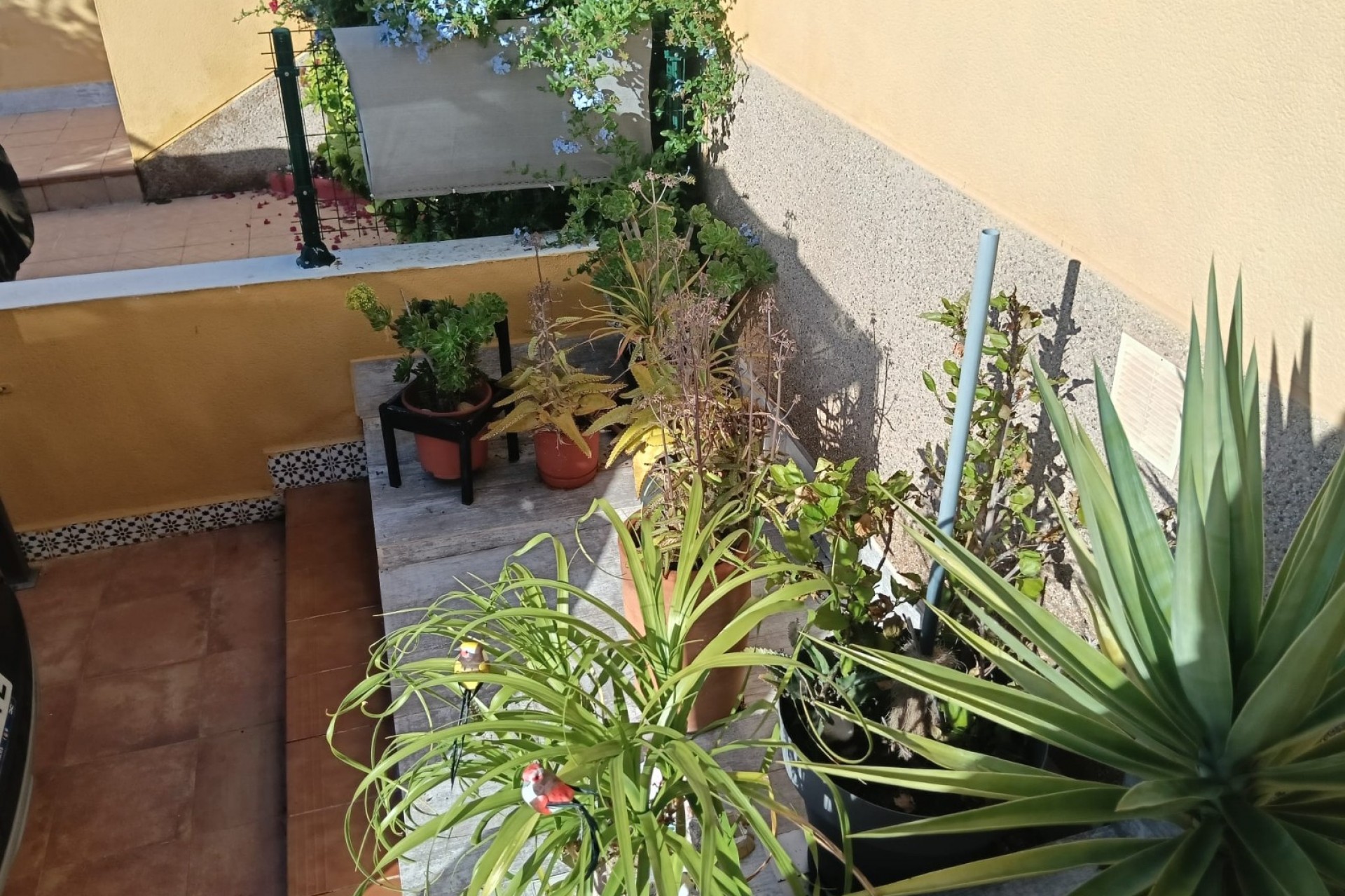 La Revente - Appartement - Los Montesinos - La Herrada