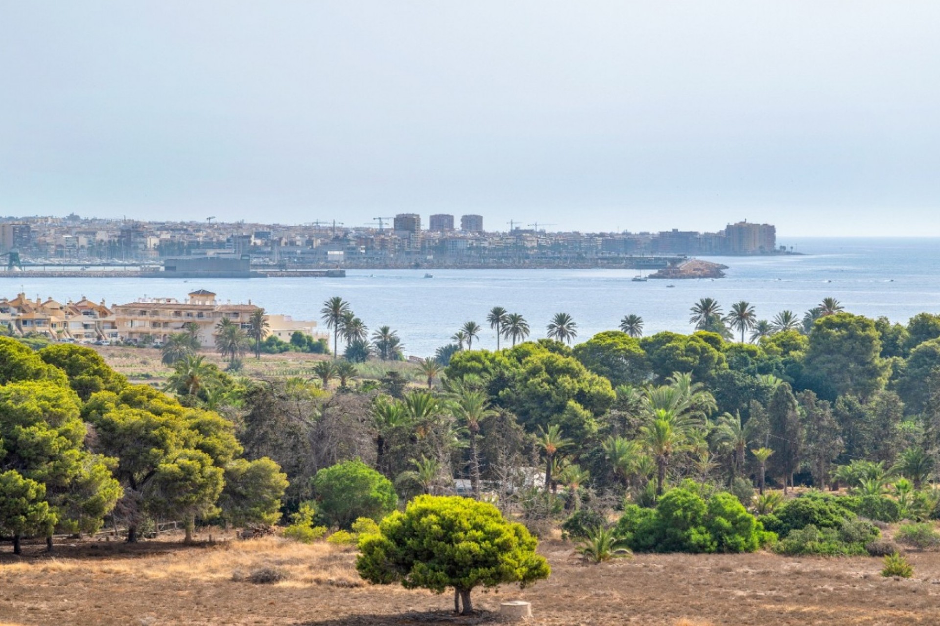 La Revente - Appartement - Orihuela Costa - Punta Prima