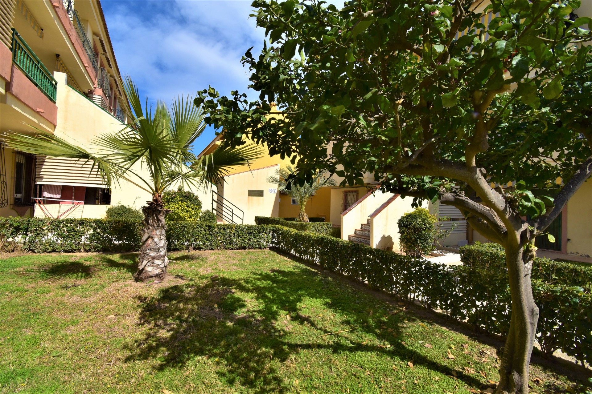 La Revente - Appartement - Torrevieja - Mar Azul