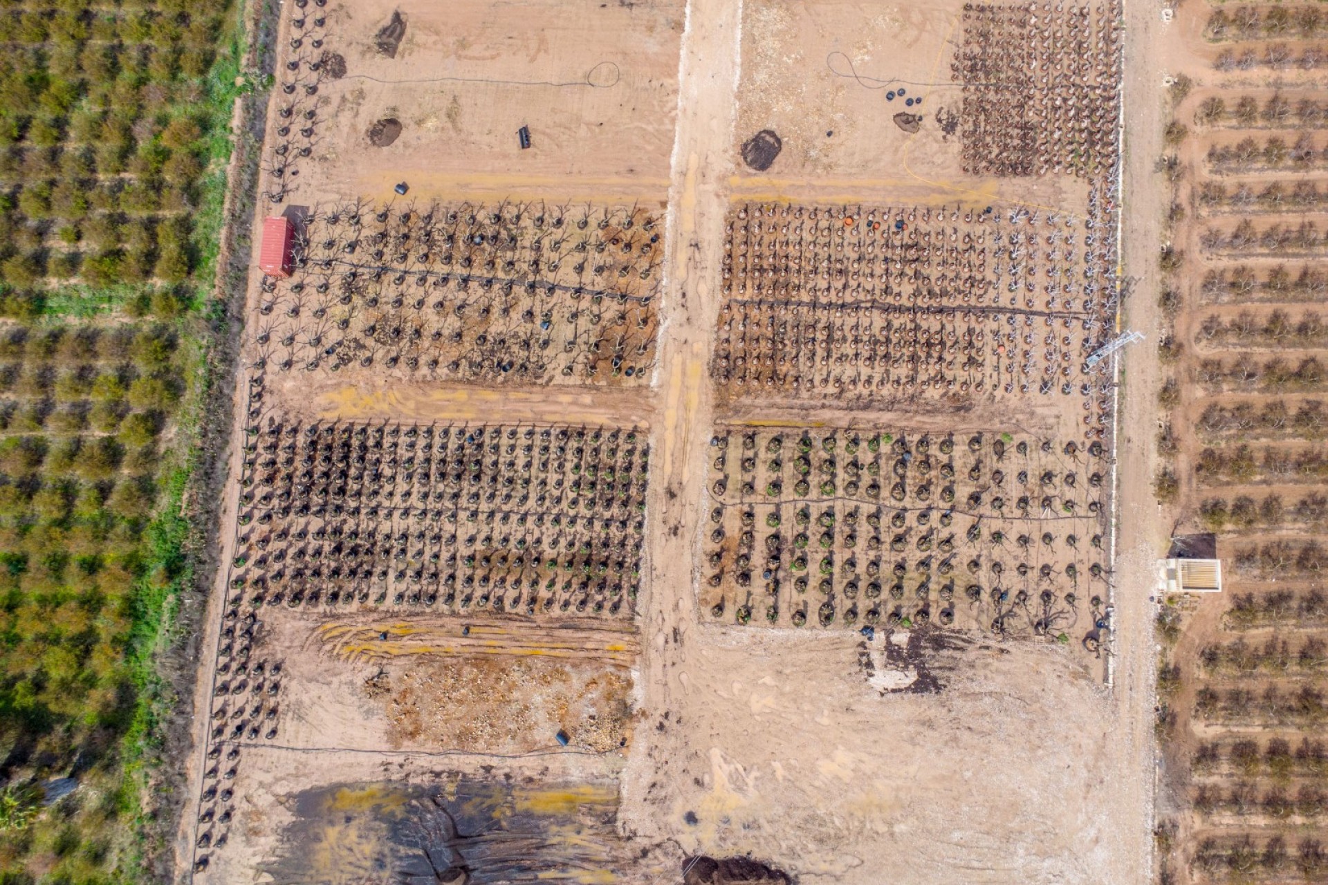 La Revente - Maison de Campagne - Albatera - Albatera - Domaine