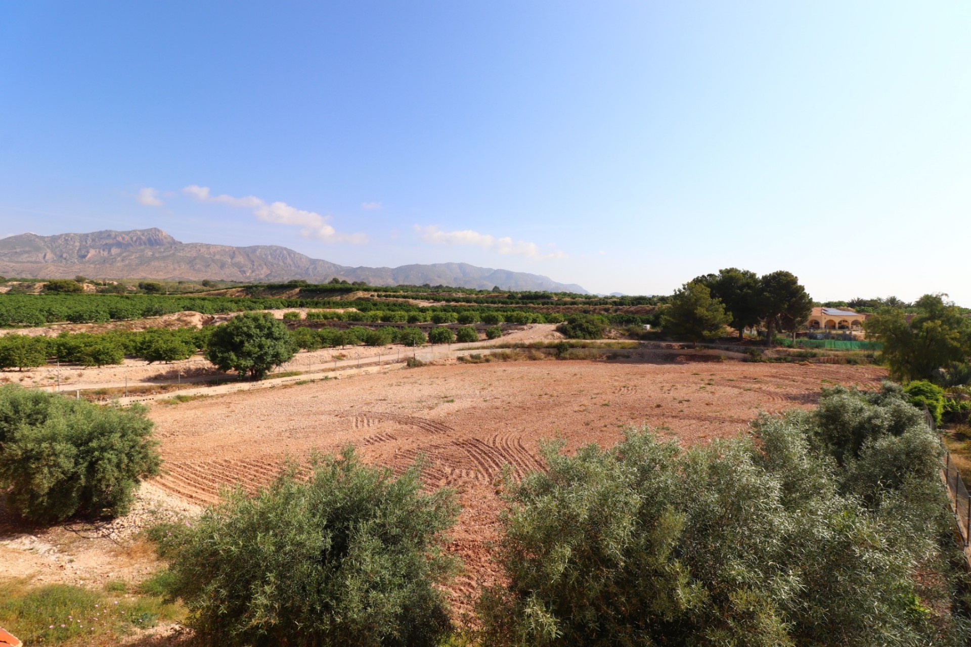 La Revente - Maison de Campagne - Albatera - Albatera - Domaine