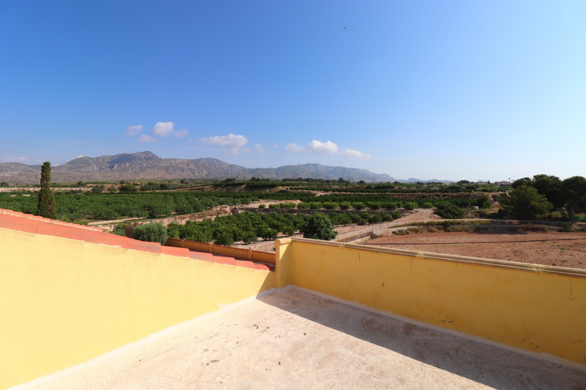 La Revente - Maison de Campagne - Albatera - Albatera - Domaine