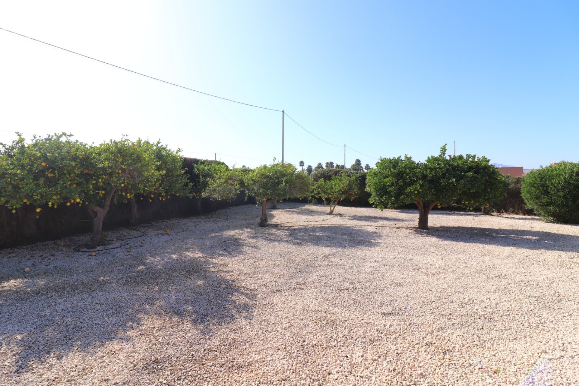 La Revente - Maison de Campagne - Catral - Catral - Domaine