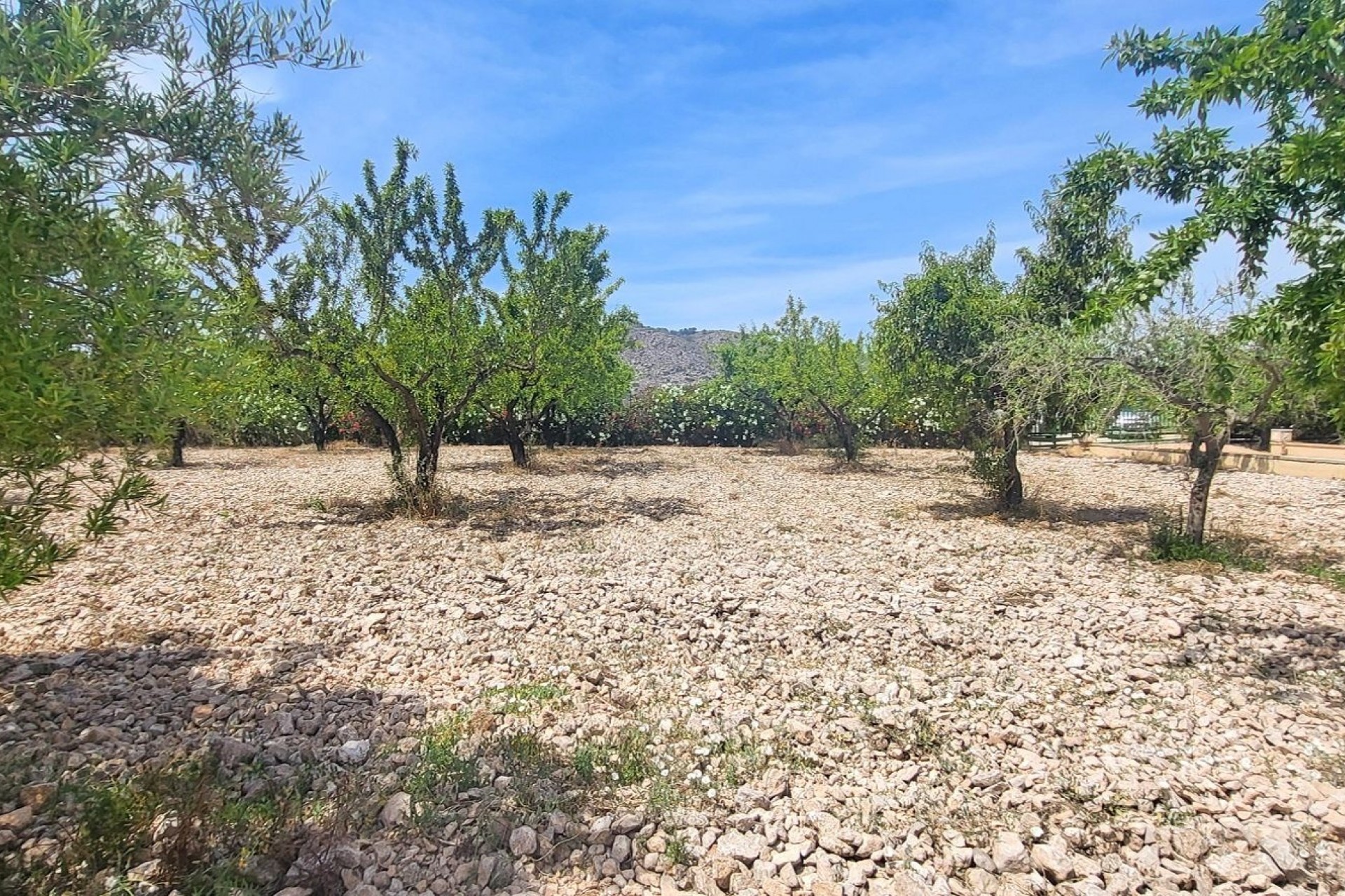 La Revente - Maison de Campagne - Hondon - Hondon de Las Nieves