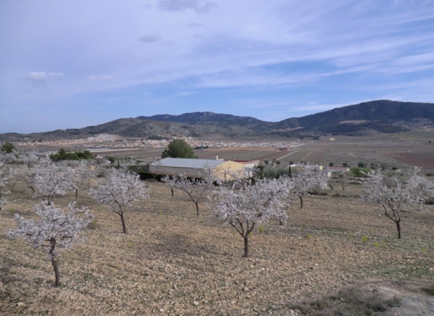 La Revente - Maison de Campagne - Hondon - Hondon de Las Nieves