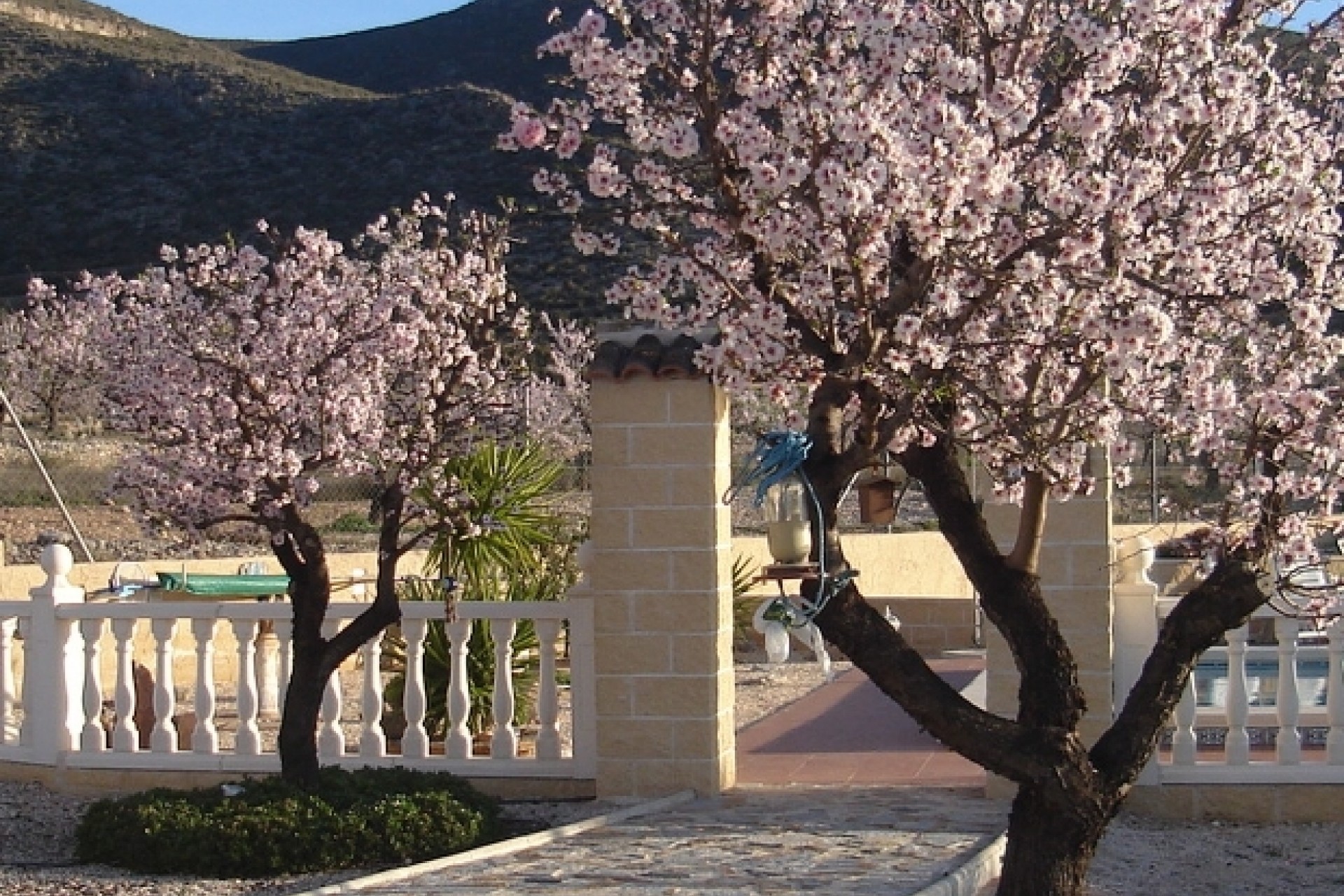 La Revente - Maison de Campagne - Hondon - Hondon de Los Frailes