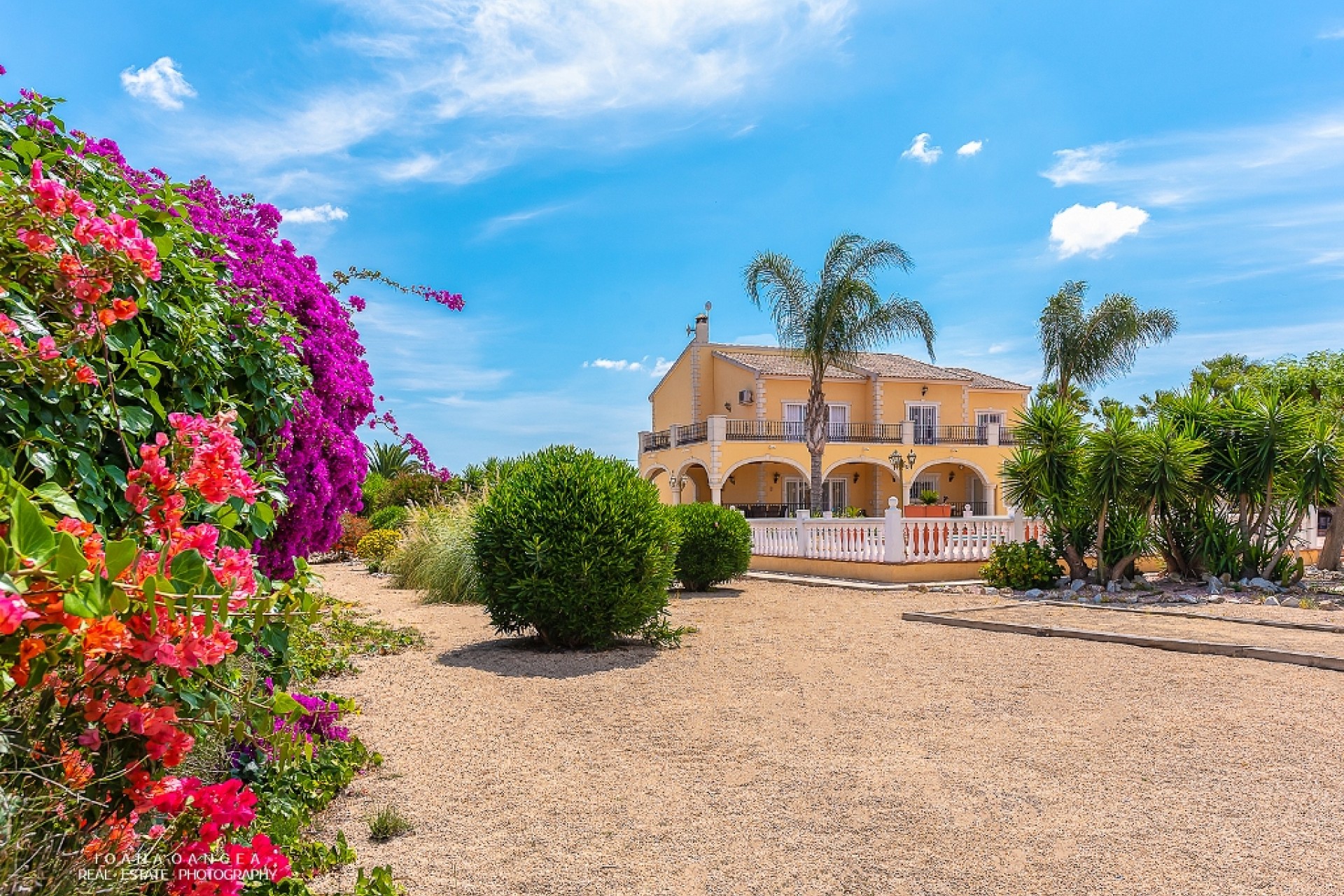 La Revente - Maison de Campagne - Orihuela - La Campaneta