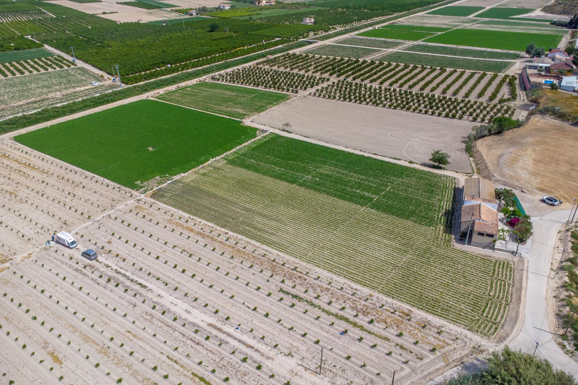 La Revente - Maison de Campagne - Orihuela - Los Desamparados