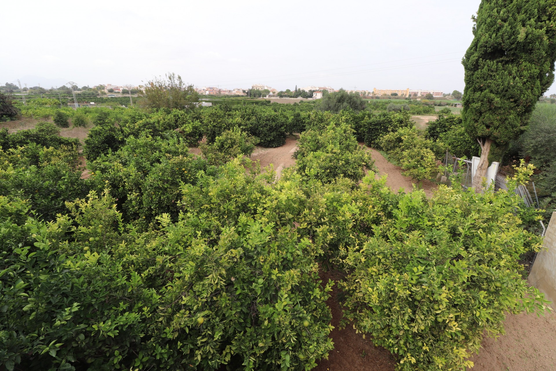 La Revente - Maison de Ville - Benijofar - Benijofar - Village