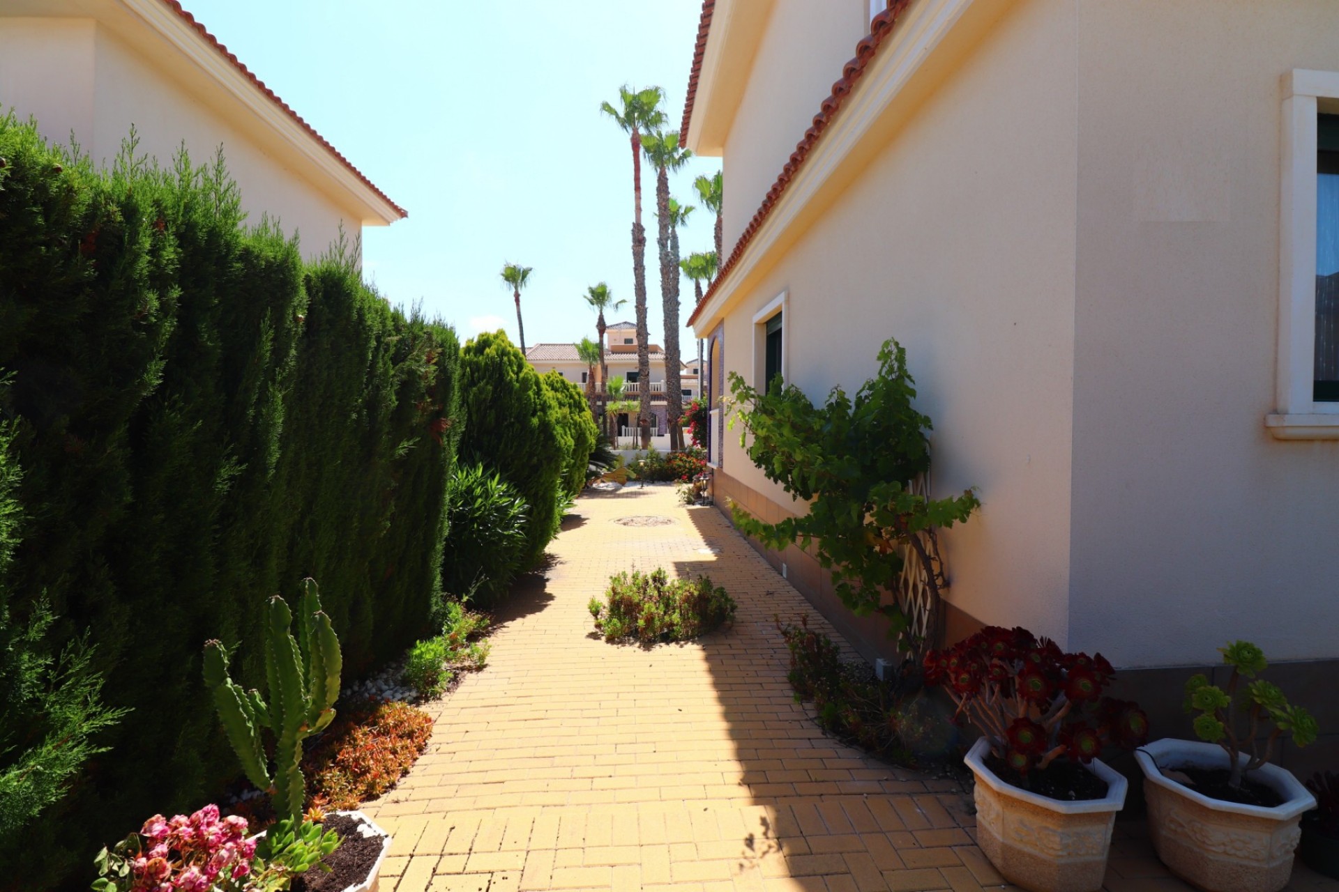 La Revente - Maison de Ville - Ciudad Quesada - Doña Pepa