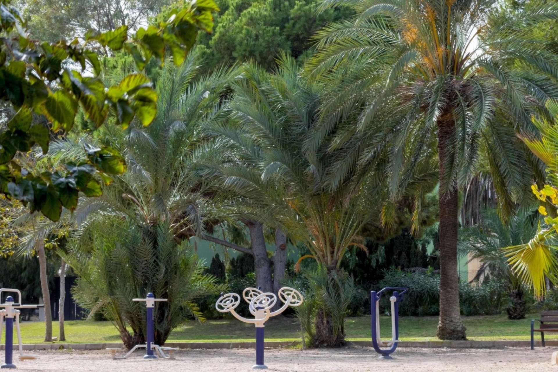 La Revente - Maison de Ville - Orihuela Costa - La Zenia