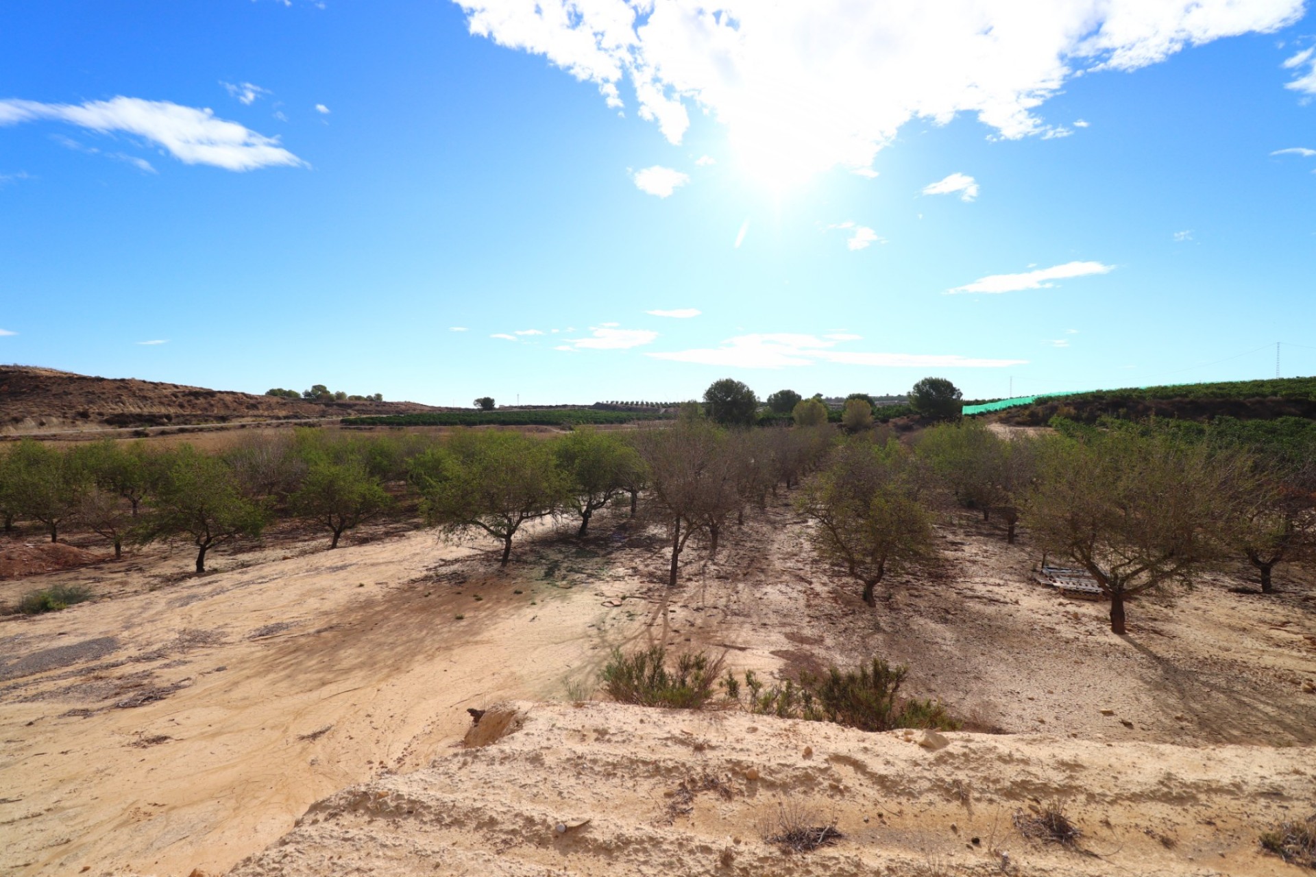 La Revente - Terrain - Torremendo - Torremendo - Domaine