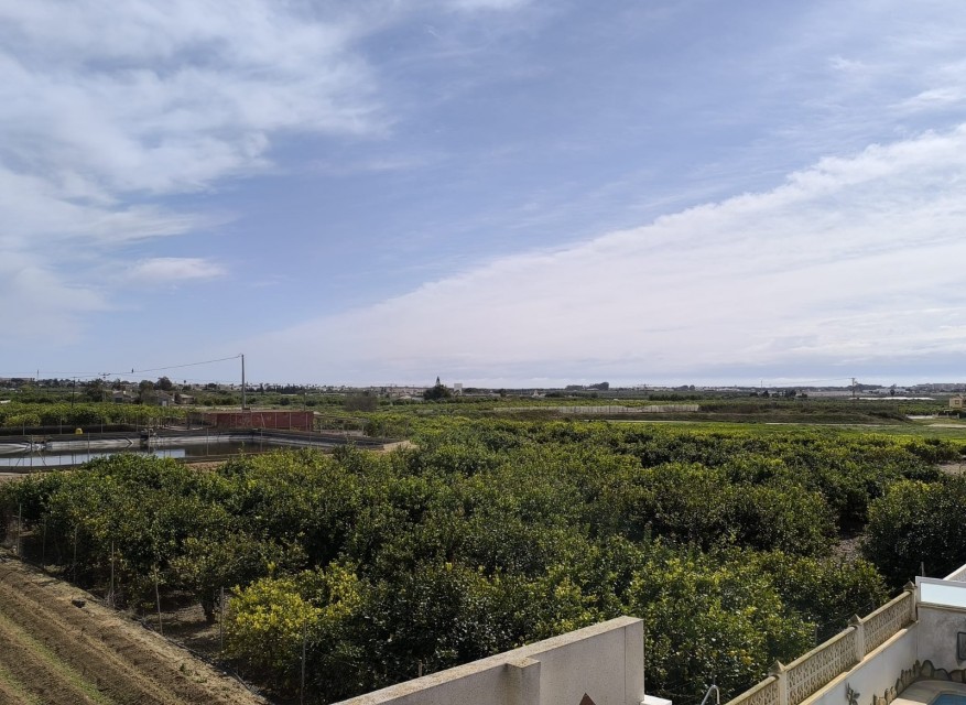 La Revente - Villa - Guardamar del Segura - El Raso