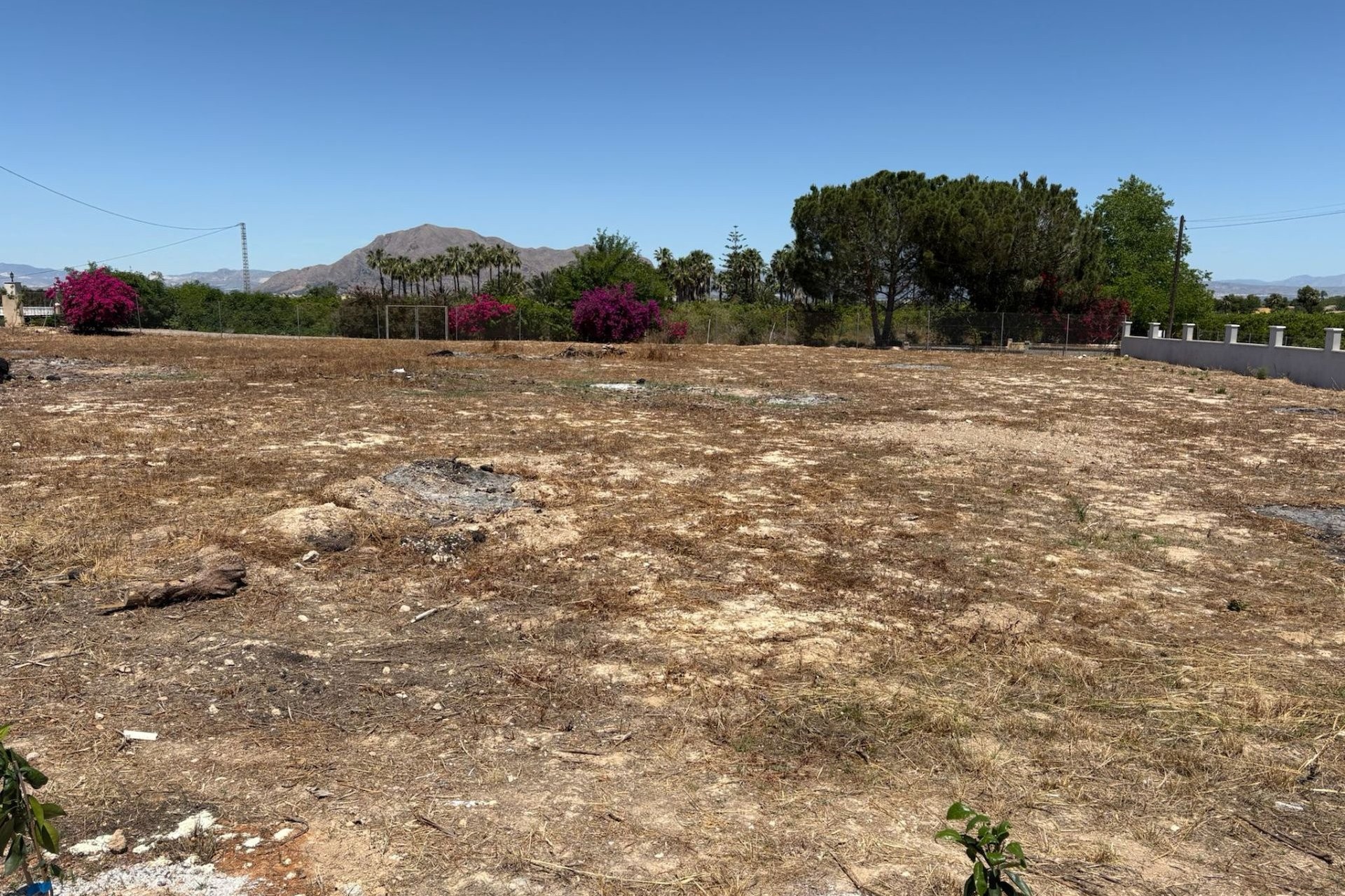 La Revente - Villa - Jacarilla - Jacarilla - Domaine