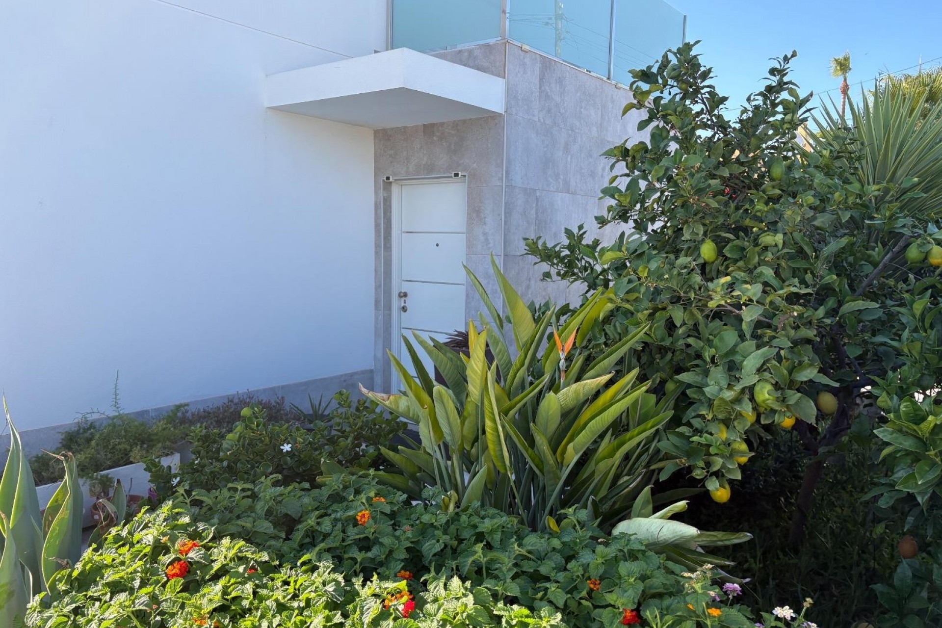 La Revente - Villa - Torrevieja - Torretas