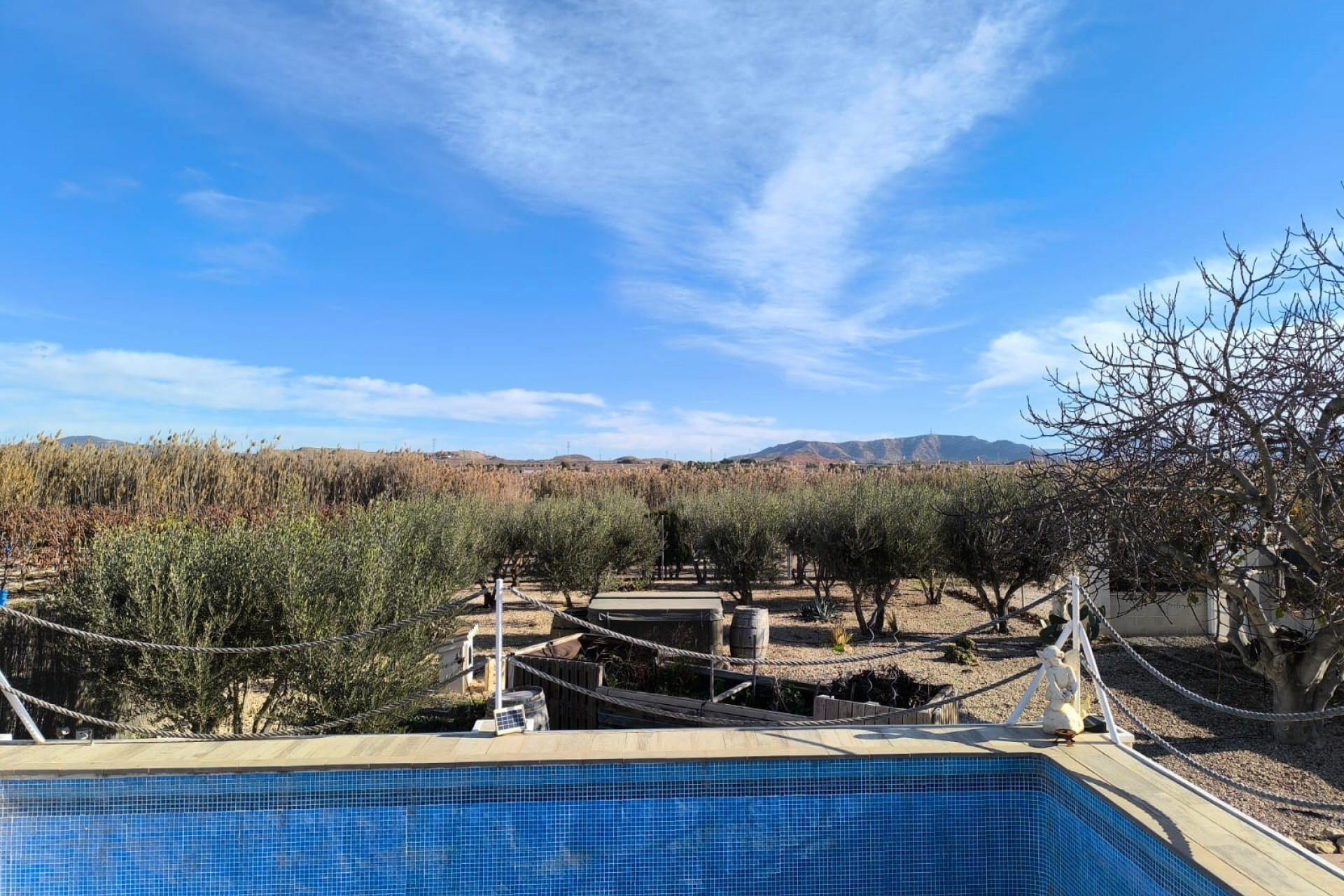 La Revente - Villa - Villena - Rural location