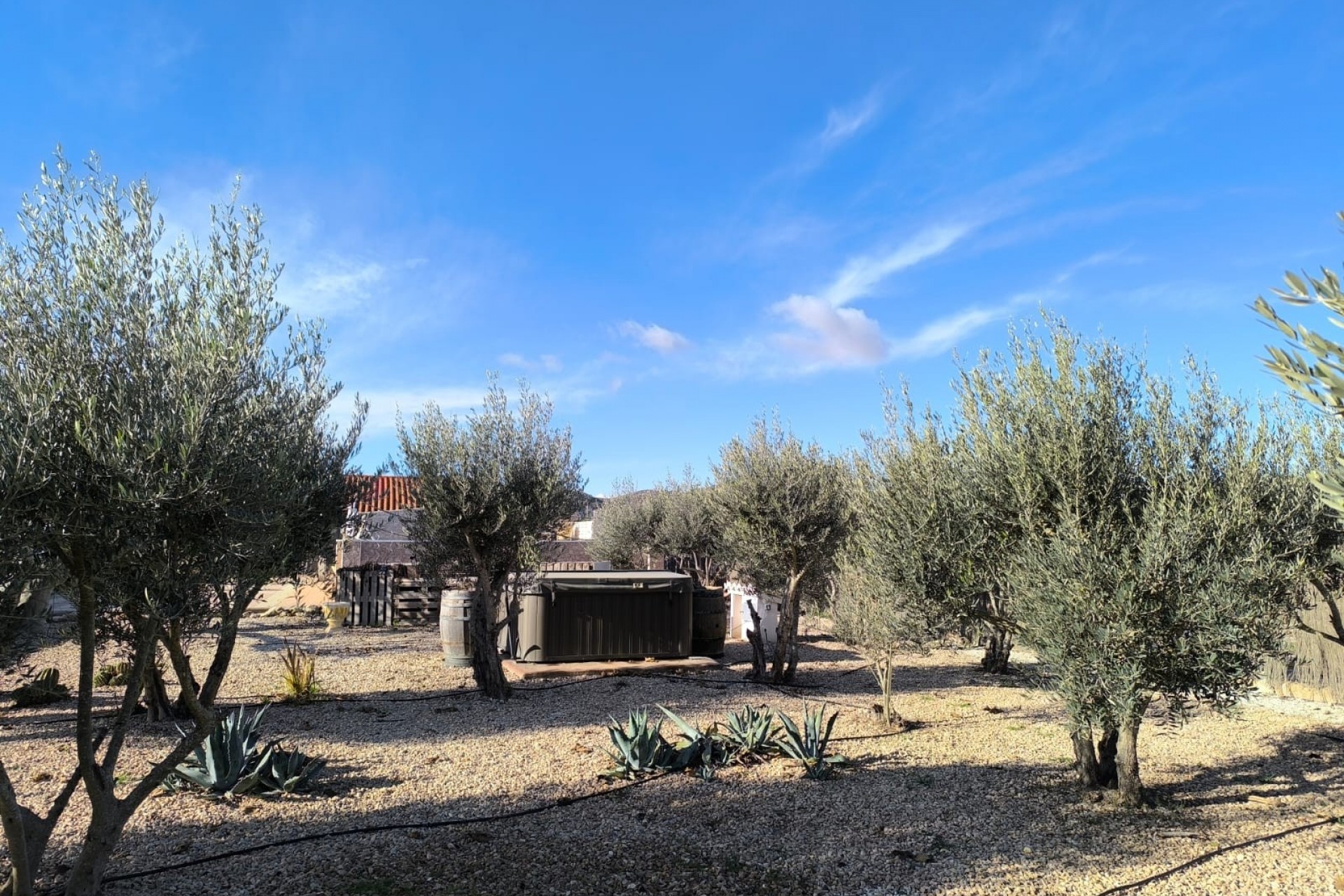 La Revente - Villa - Villena - Rural location