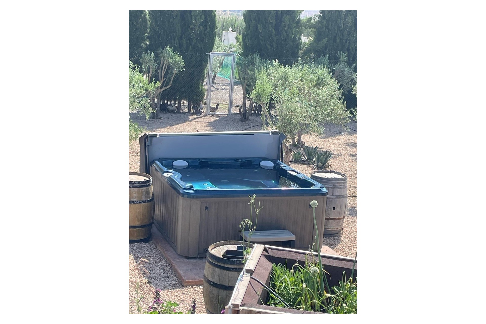 La Revente - Villa - Villena - Rural location