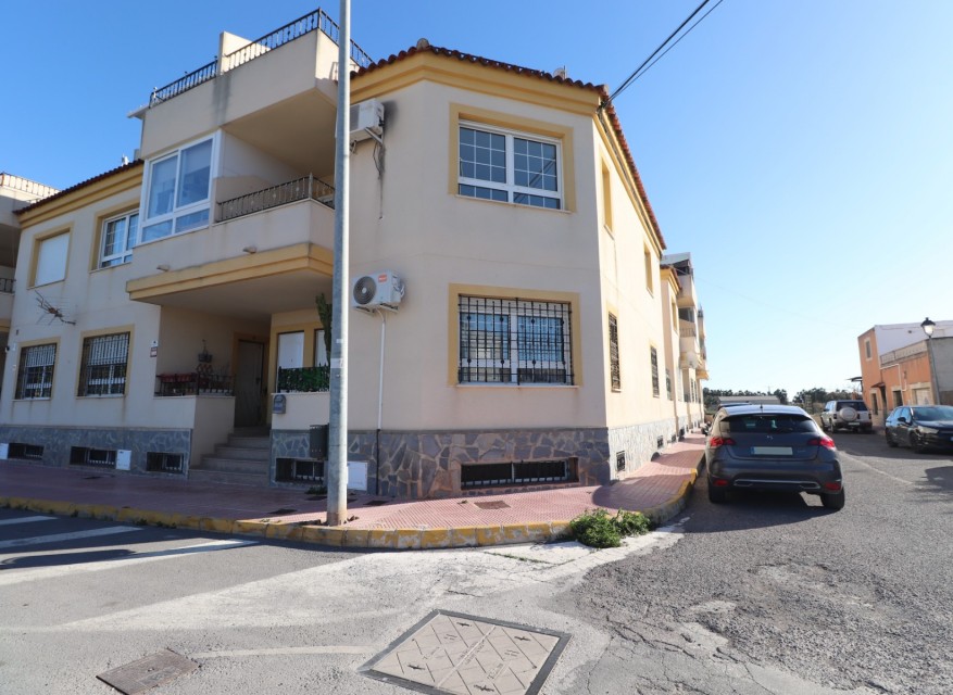 Location - Appartement - Daya Nueva